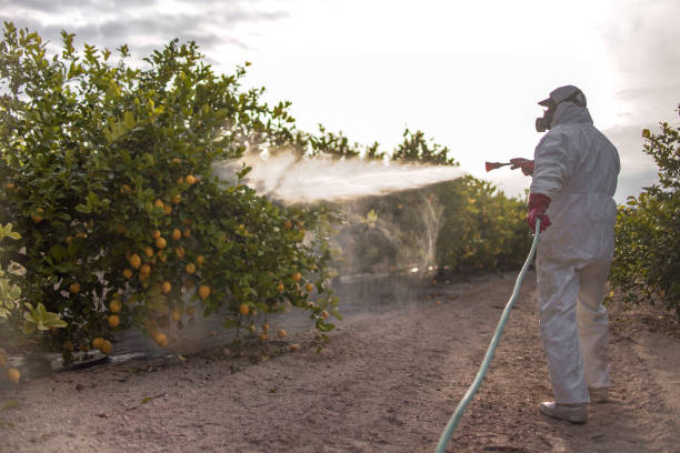 Best Wasp Removal Services  in Madison, IN