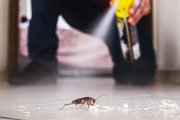 Best Pest Prevention Services  in Madison, IN